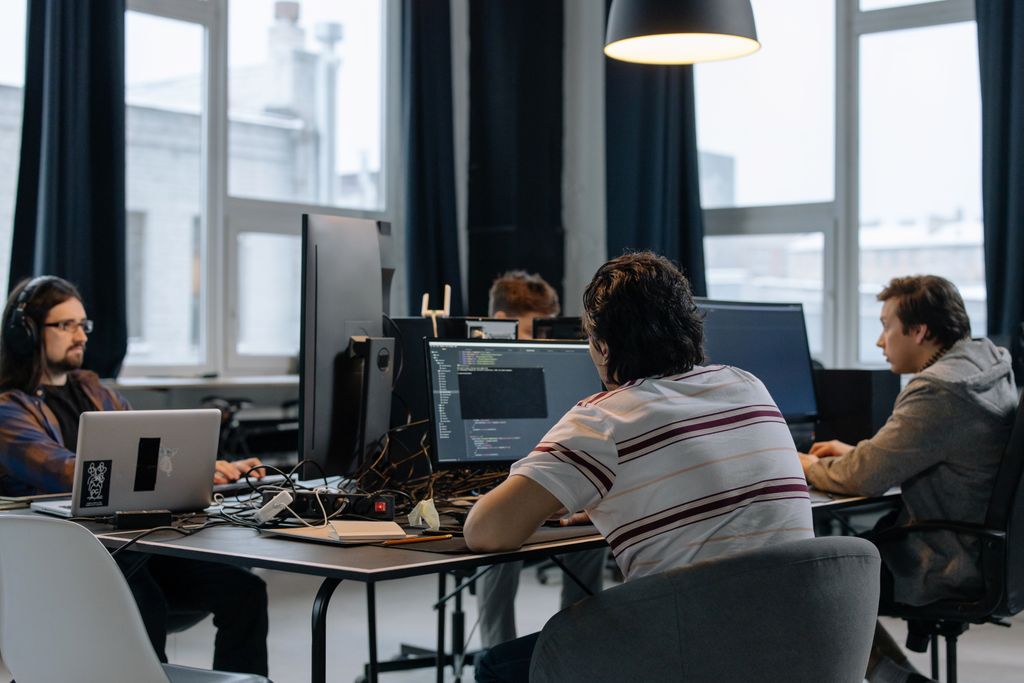software development